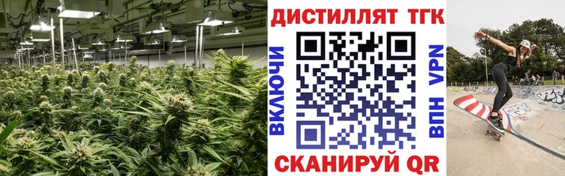 kraken маркетплейс  Пущино  Дистиллят ТГК вейп  наркота 