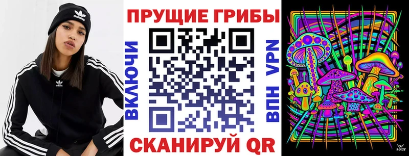 кракен tor  Пущино  Псилоцибиновые грибы Cubensis 